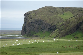 Skógafoss